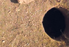 Sullia: Cave resembling sculpted tunnel discovered at Kalmakaru